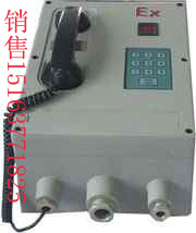 防爆电话(隔爆兼本安型IIC级)